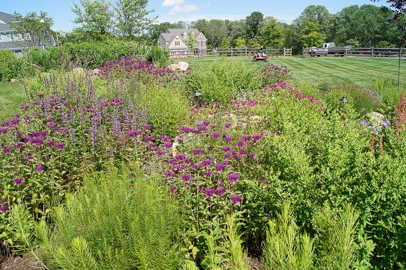 West Chester Patio and Landscaping