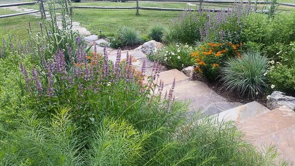 chester county landscaper spring 2017 newsletter 005