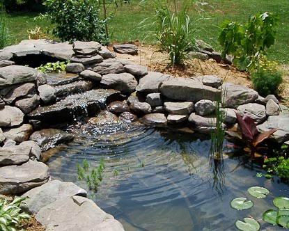 Chester County Landscaping Ponds