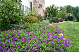 Chester County Landscaper