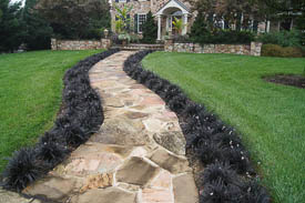 Chester County Landscaper